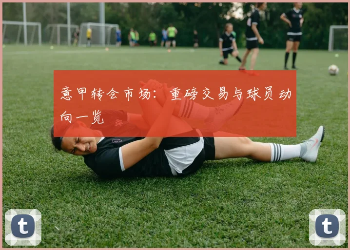 意甲转会市场:重磅交易与球员动向一览